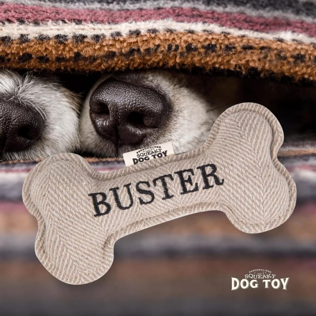 Personalised Squeaky Dog Toy – Buster 886767683065 2