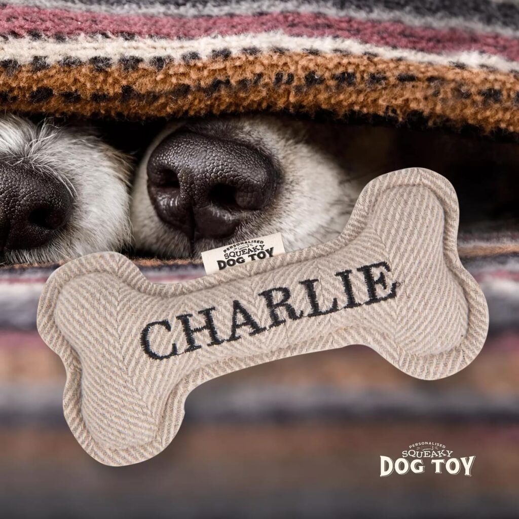 Personalised Squeaky Dog Toy – Charlie 886767683096 2