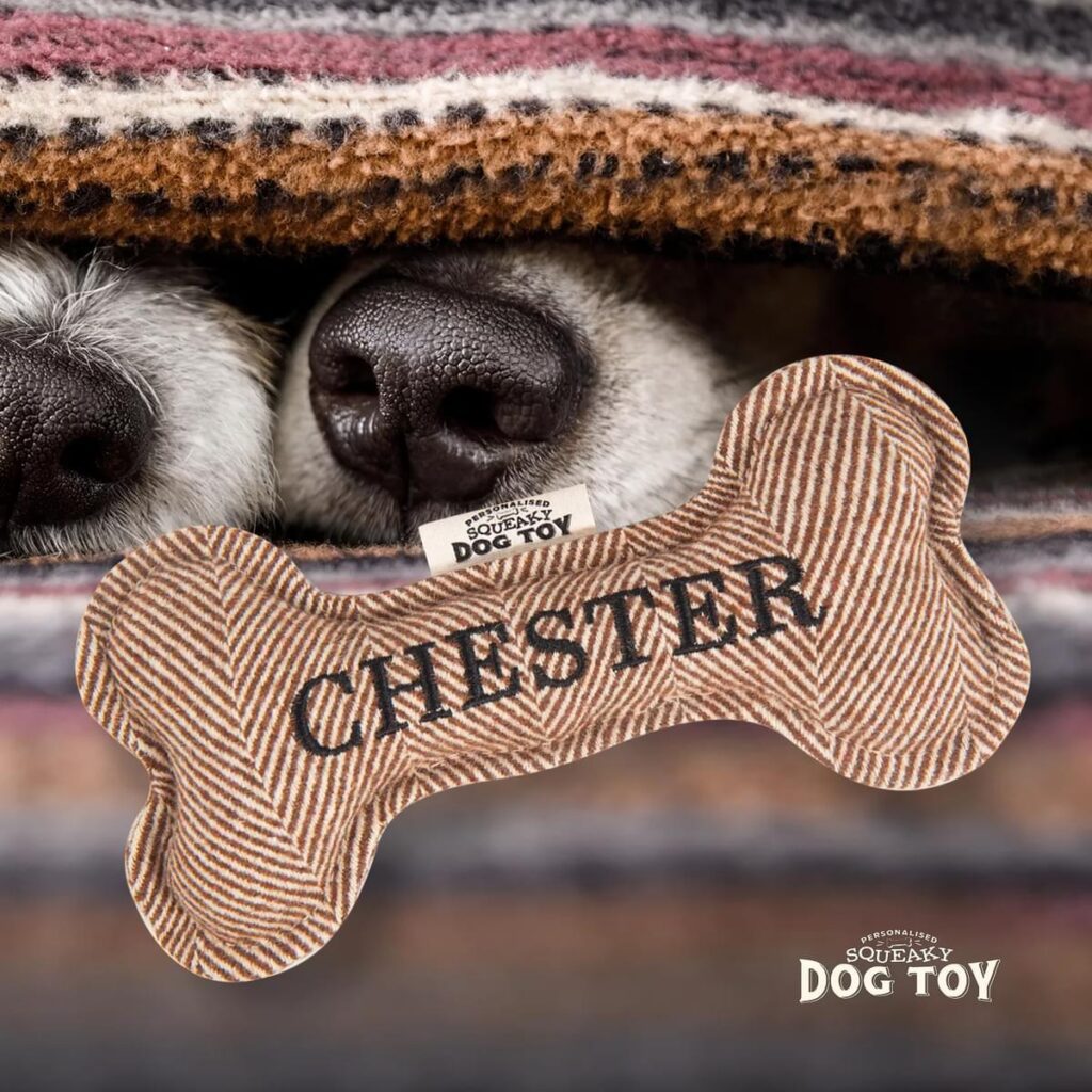 Personalised Squeaky Dog Toy – Chester 886767683126 2