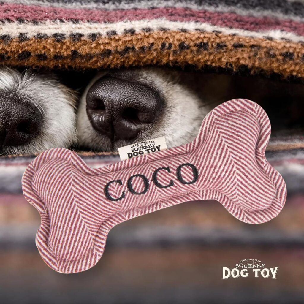 Personalised Squeaky Dog Toy – Coco 886767683157 2