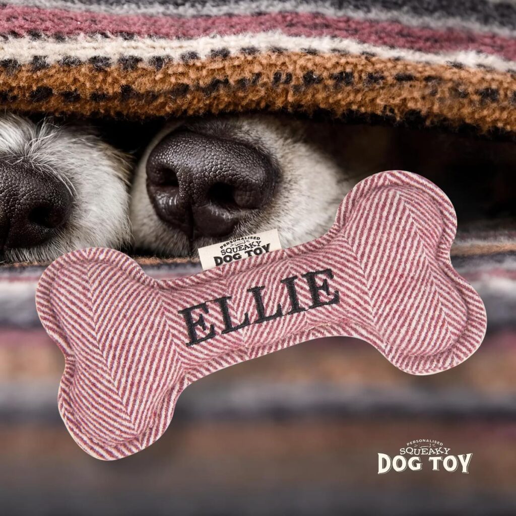 Personalised Squeaky Dog Toy – Ellie 886767683270 2