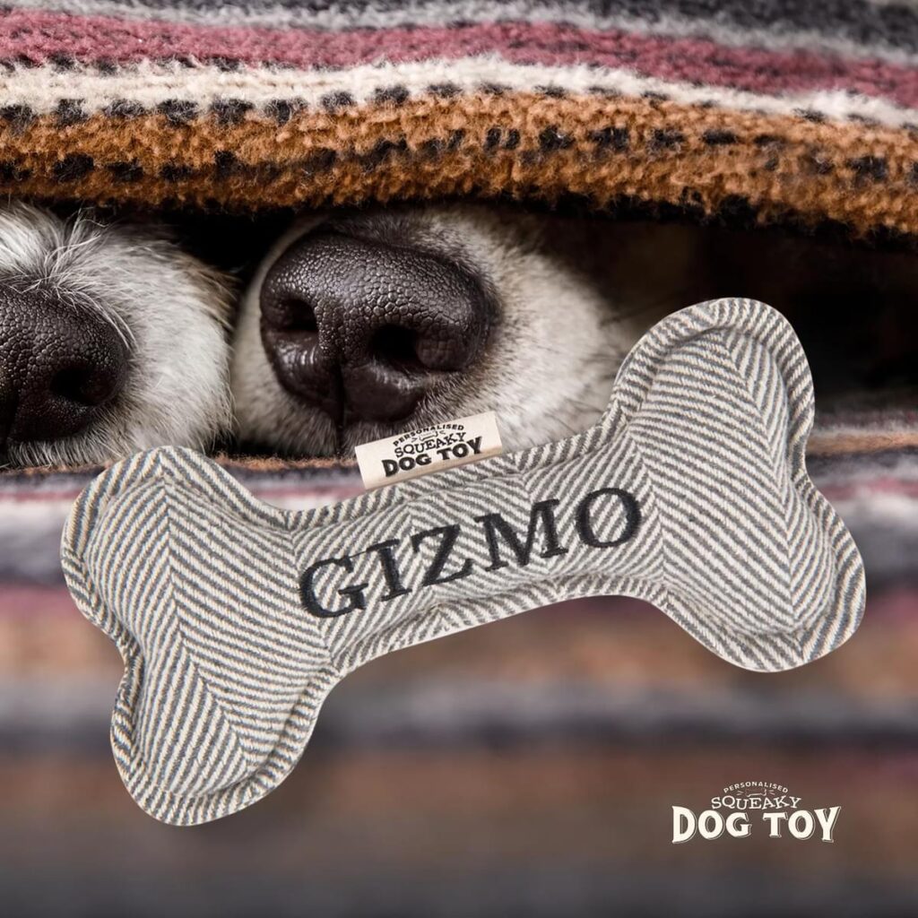 Personalised Squeaky Dog Toy – Gizmo 886767683393 2