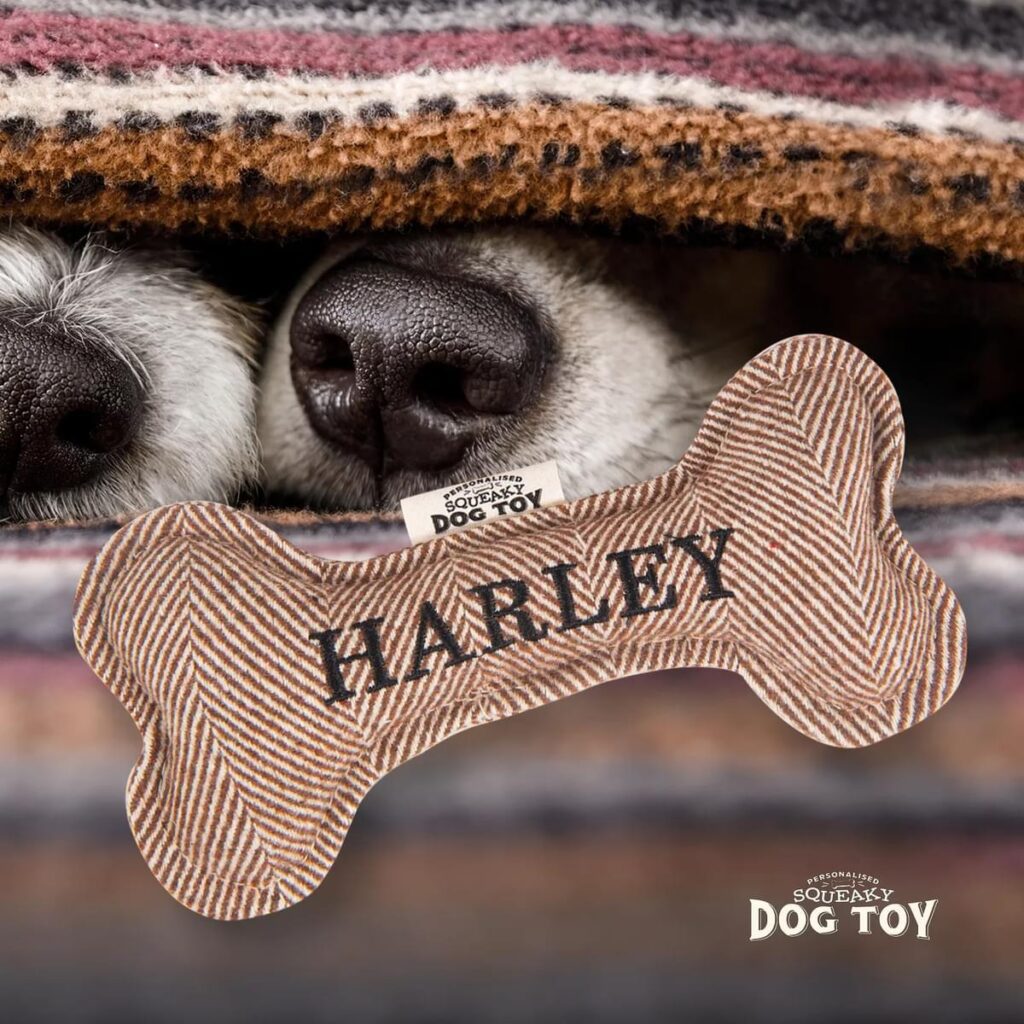 Personalised Squeaky Dog Toy – Harley 886767683454 2