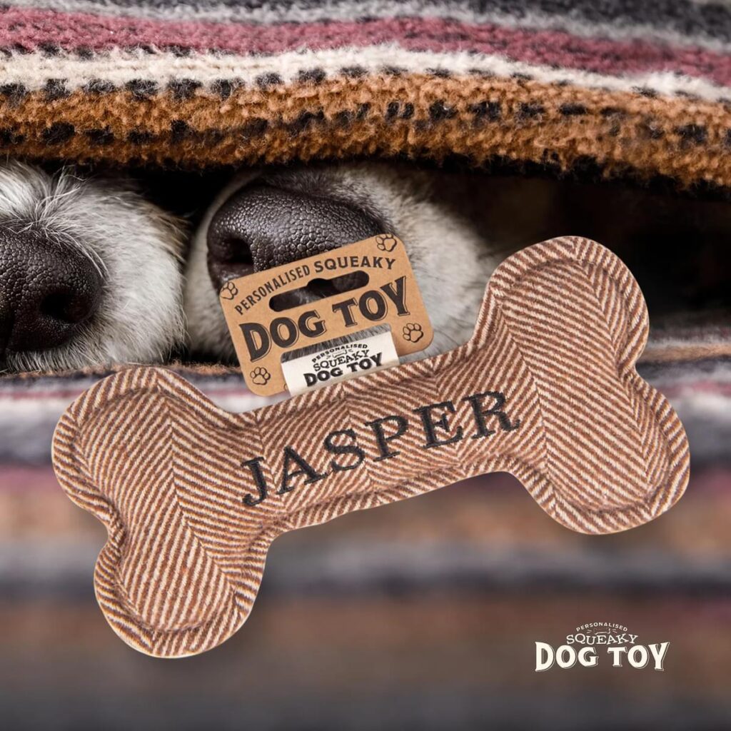 Personalised Squeaky Dog Toy – Jasper 886767683669 2