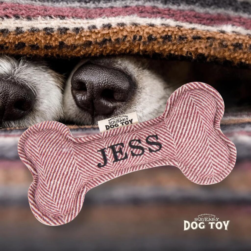 Personalised Squeaky Dog Toy – Jess 886767683690 2