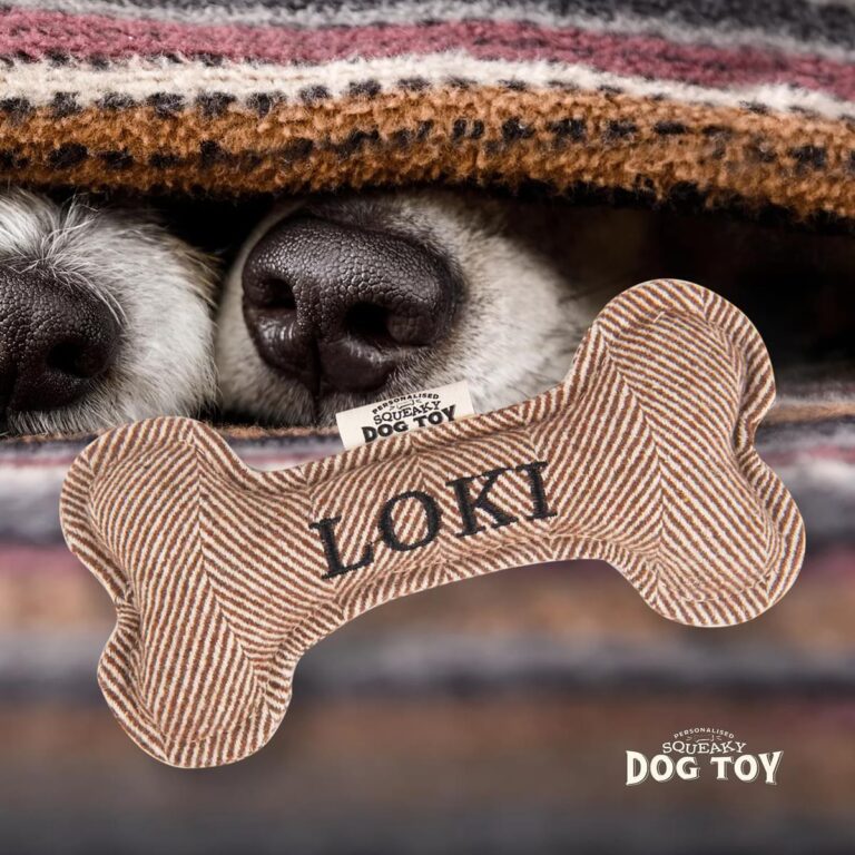 70h05190171 loki ls medium.jpg