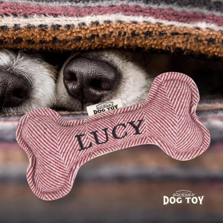 70h05190180 lucy ls medium.jpg