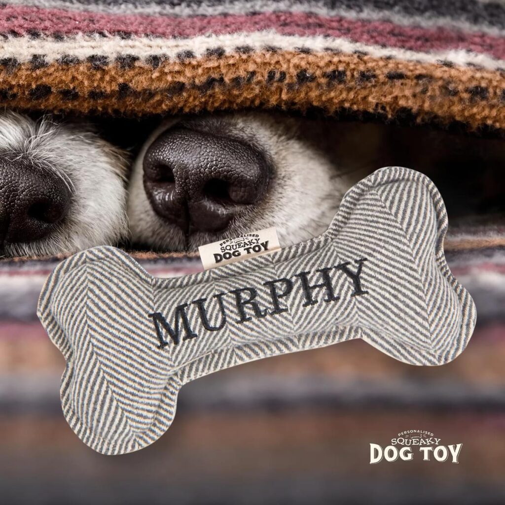 Personalised Squeaky Dog Toy – Murphy 886767684239 2
