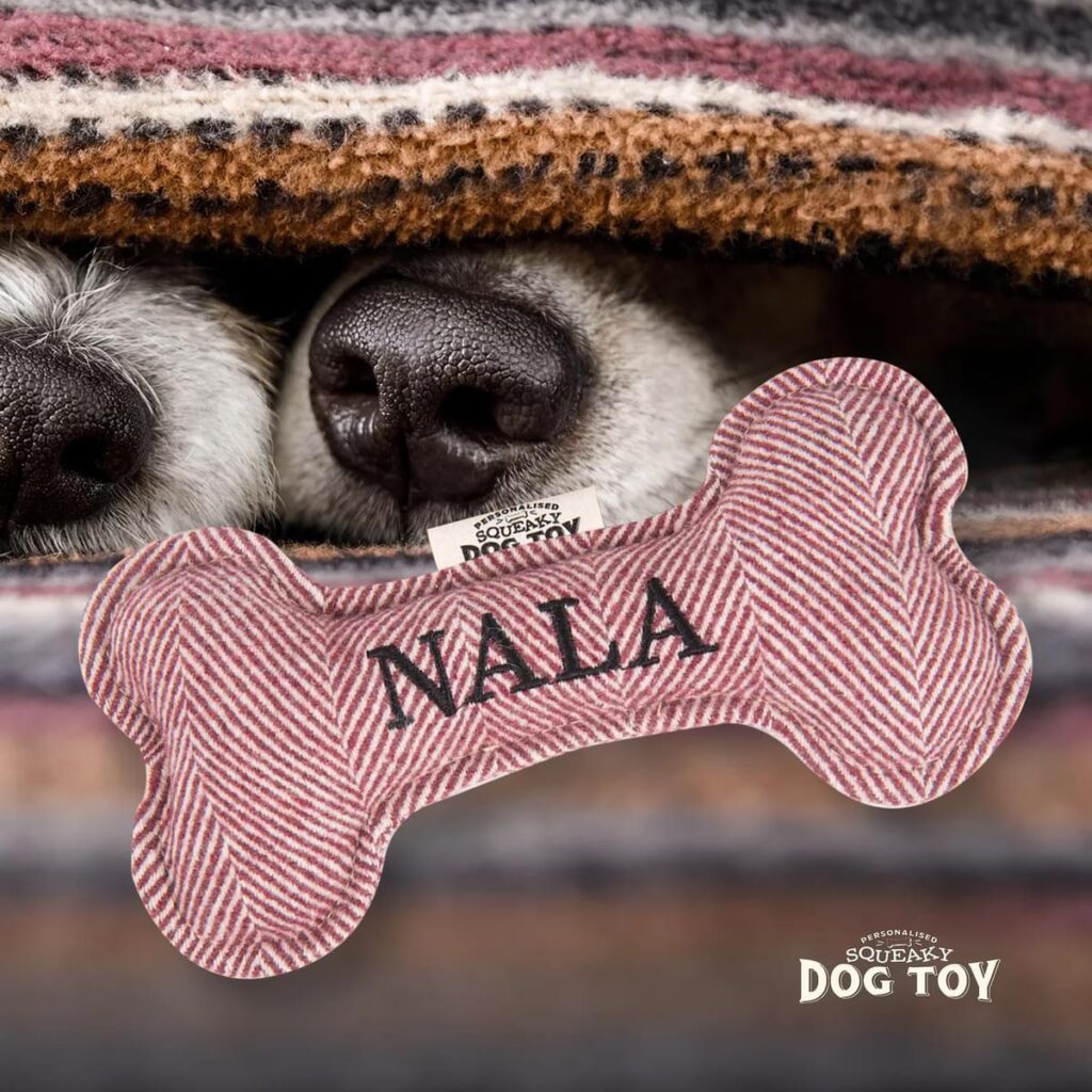 Personalised Squeaky Dog Toy – Nala 886767684260 2