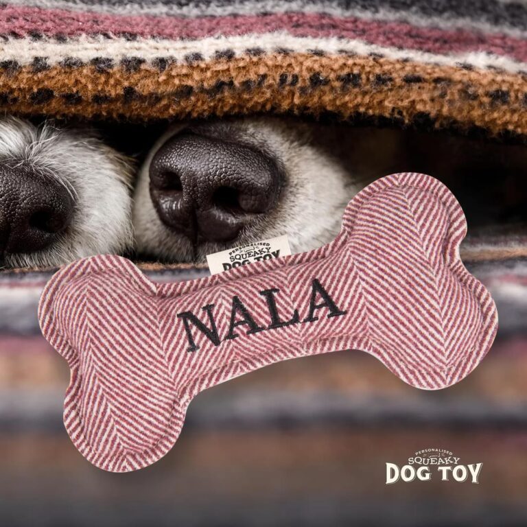 70h05190216 nala ls medium.jpg