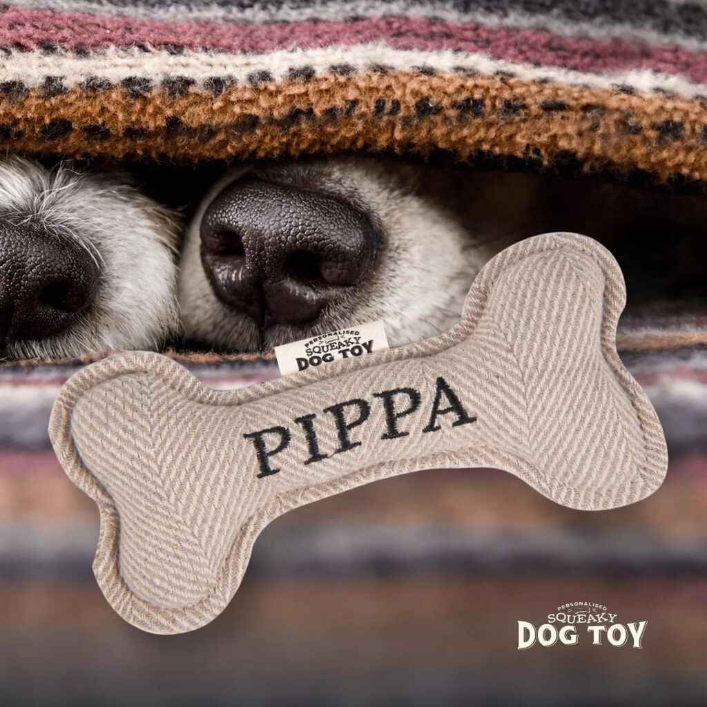 Personalised Squeaky Dog Toy – Pippa 886767684383 2