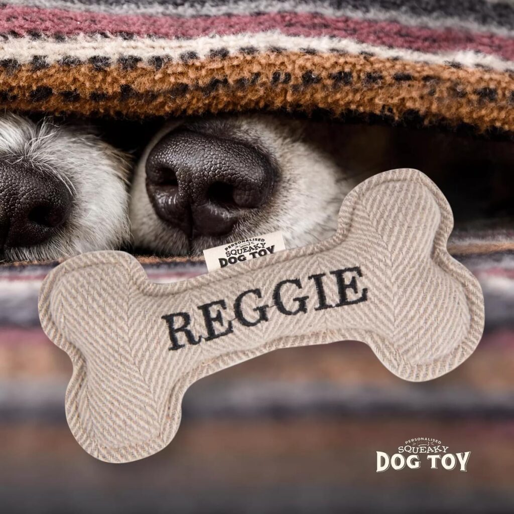 Personalised Squeaky Dog Toy – Reggie 886767684475 2