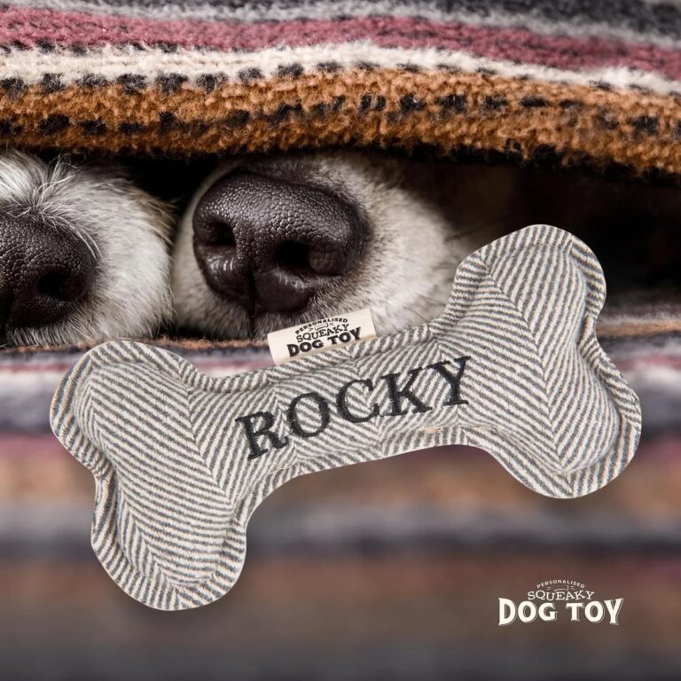 70h05190240 rocky ls medium.jpg