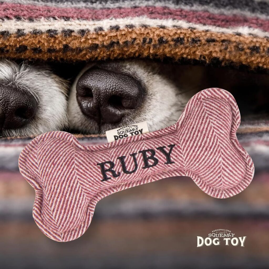 Personalised Squeaky Dog Toy – Ruby 886767684598 2