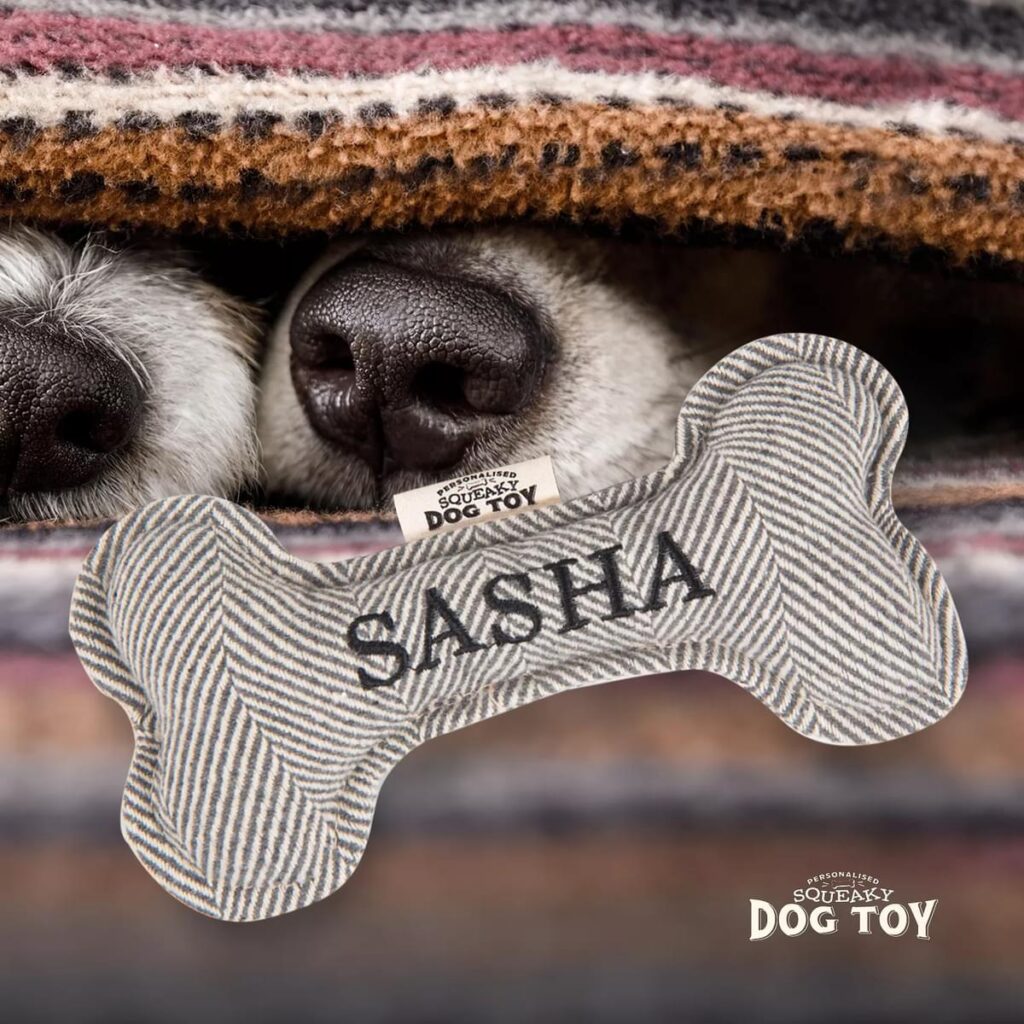 Personalised Squeaky Dog Toy – Sasha 886767684659 2