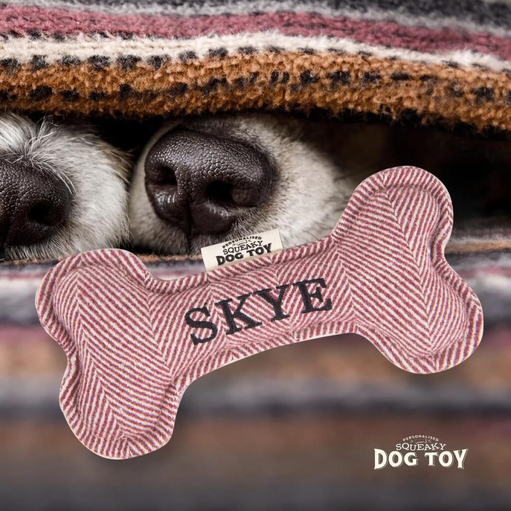 Personalised Squeaky Dog Toy – Skye 886767684680 2