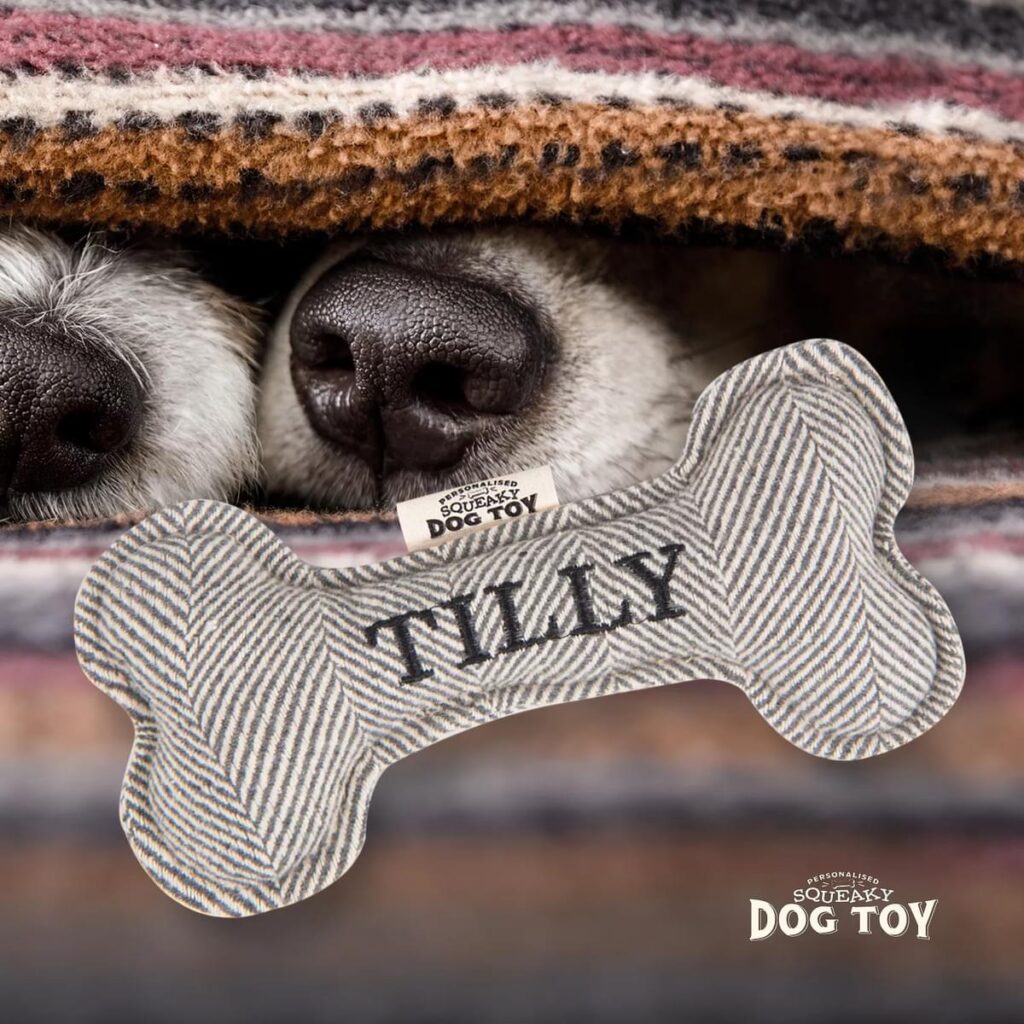 Personalised Squeaky Dog Toy – Tilly 886767684772 2