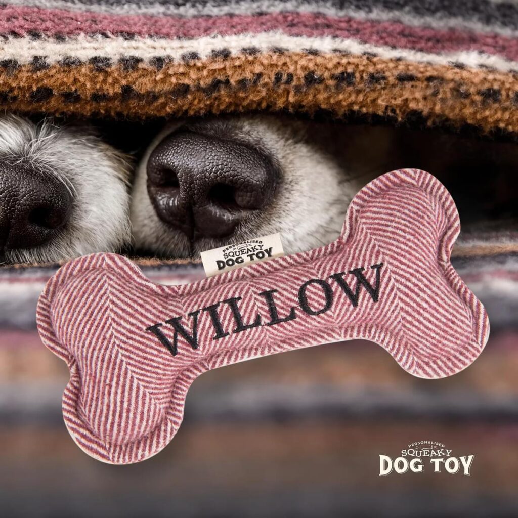 Personalised Squeaky Dog Toy – Willow 886767684833 2