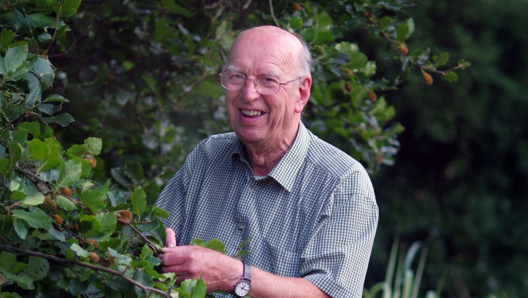 John Hillier Portrait Header