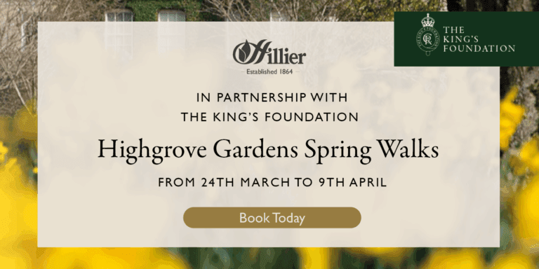 Kings Foundation 660 x 330px SPRING WALKS