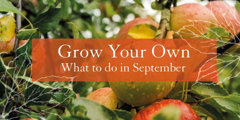 Grow your Own September Header Image