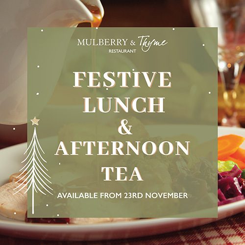Festive Lunch and Afternoon Tea Web Promo Square