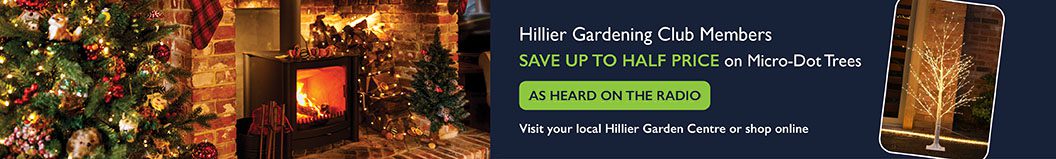 Christmas Banner Xmas As Heard on Radio Offer