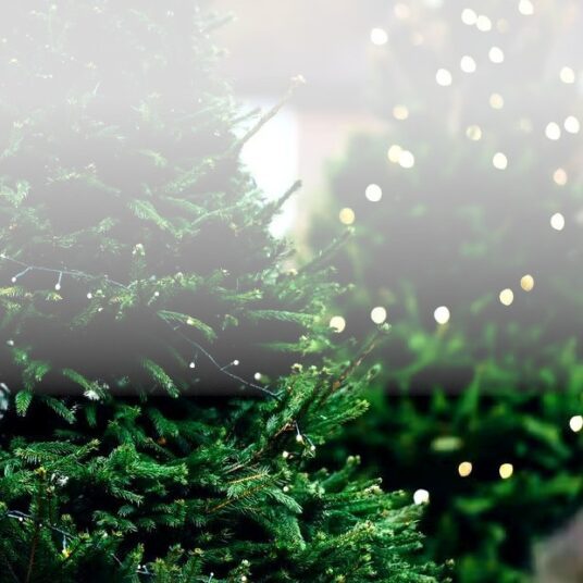 XmasBAnner3 Shopping Evening