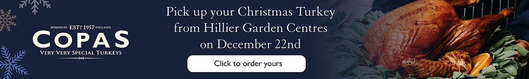 Copas Turkey Christmas Banner 2025