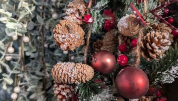 winter woodland theme header image 1058w