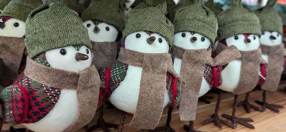 winter woodland theme scarf and woollen hat birds 970w