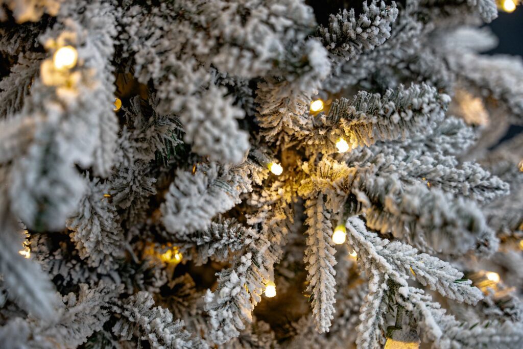 BOSK Frosted Dalton Fir – 7.5ft Christmas Tree With 550 Warm White Leds 5061030161319 2