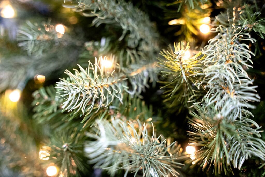 BOSK Arundel Spruce – 6.5ft Christmas Tree With 500 Warm White Leds 5061030164372 2