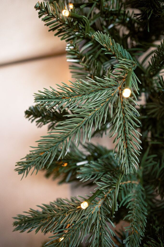 BOSK Rivington Fir 24″ Christmas Wreath With 50 Warm White Lights 5061064663407 2