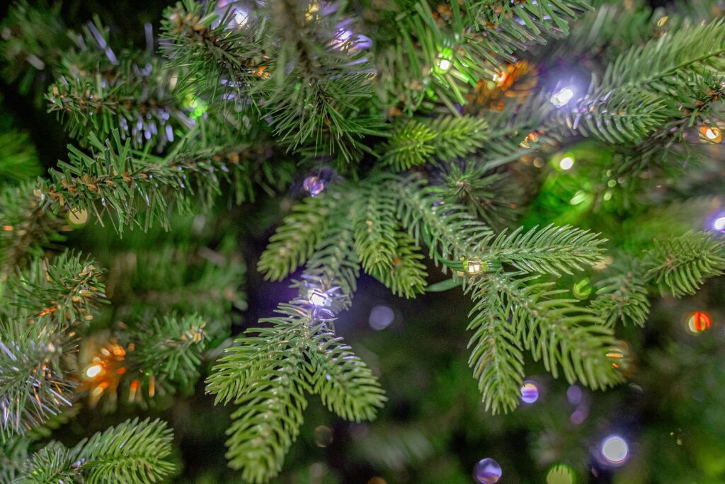 BOSK Montpellier Fir – 10ft Christmas Tree With 1640 Colour Switch Micro Leds 5061064662059 2