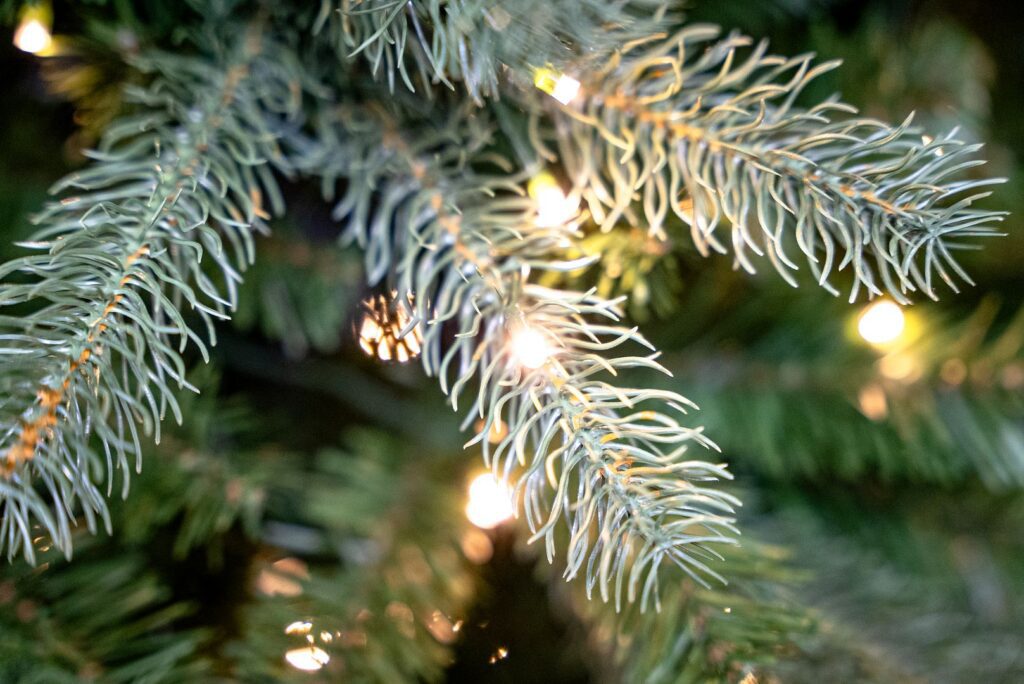 BOSK Arundel Spruce – 6.5ft Christmas Tree With 500 Warm White Leds 5061030164372 2