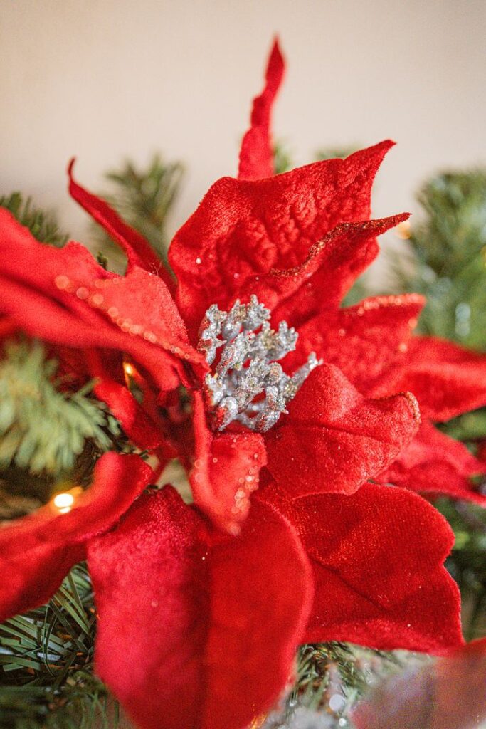 BOSK Poinsettia Pine 26″ Christmas Wreath With 50 Warm White Lights 5061064663681 2