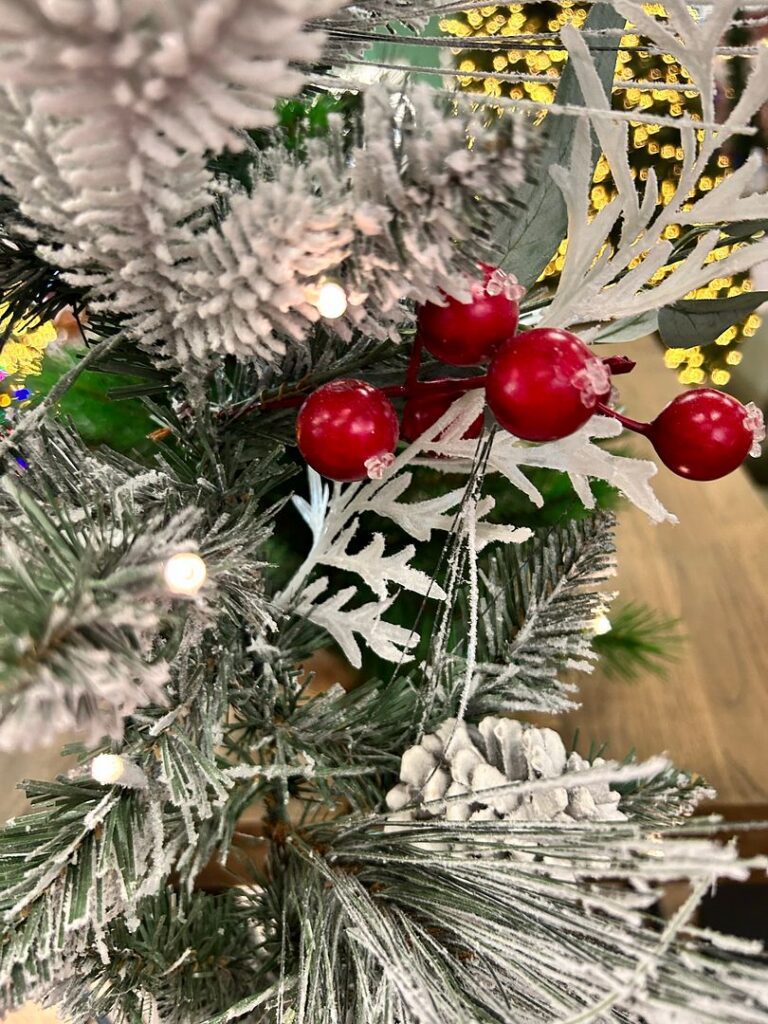 9d6b0bfd d0b6 4372 9f1e 22aef45e8f67.jpg