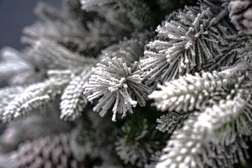 BOSK Frosted Winterfold 26″ Christmas Wreath With 50 Warm White Lights 5061030167762 2