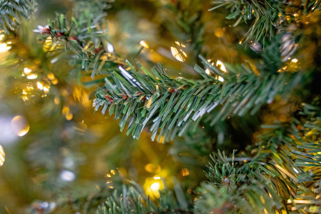 BOSK Eaton Fir – 10ft Christmas Tree With 4300 Warm White Leds 5061030162385 2