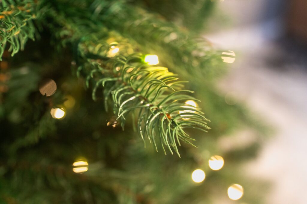 BOSK Lakeside – 7.5ft Christmas Tree With 750 Colour Switch – Warm White/Multi Colour Leds 5061030163955 2