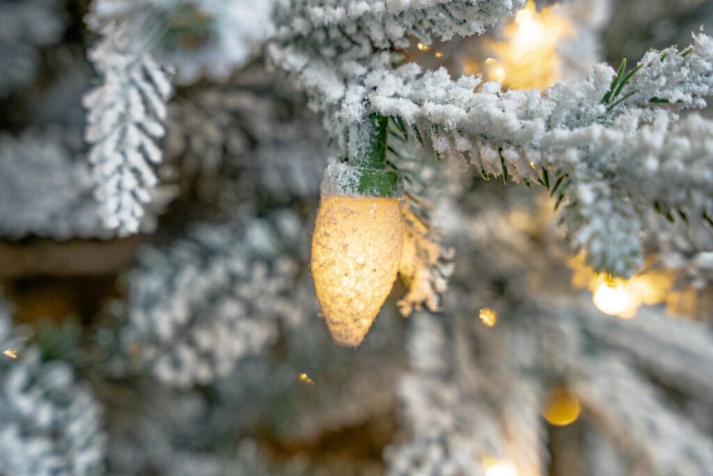 BOSK Frosted Dalton Fir – 7.5ft Christmas Tree With 550 Warm White Leds 5061030161319 2