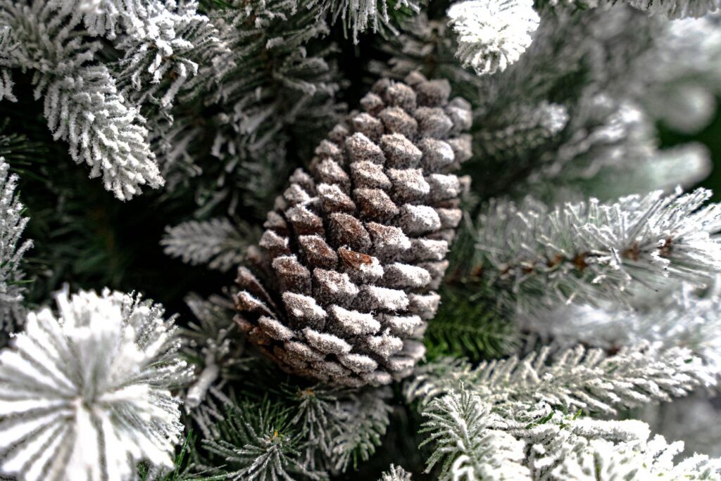 BOSK Frosted Winterfold 26″ Christmas Wreath With 50 Warm White Lights 5061030167762 2