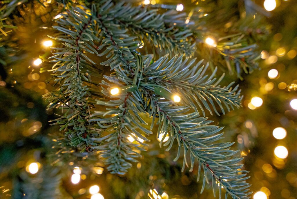 BOSK Eaton Fir – 10ft Christmas Tree With 4300 Warm White Leds 5061030162385 2