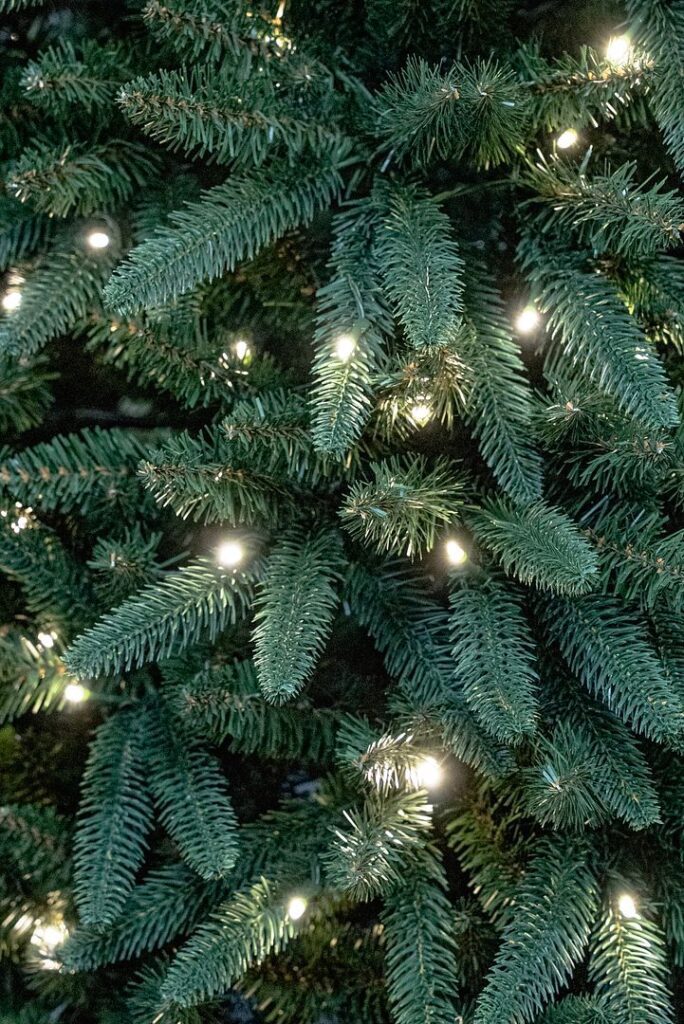 BOSK Laurieston Pine – 6.5ft Christmas Tree With 400 Warm White Leds 5061030163344 2