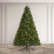 dff6c10b 5273 4136 b819 624e078d7d39.jpg