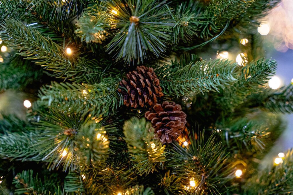 BOSK Hazelnut Pine Porch Tree – 4ft Artificial Christmas Tree 5061030164587 2