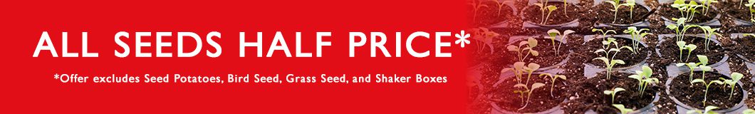 Half Price Seeds January to February 2026