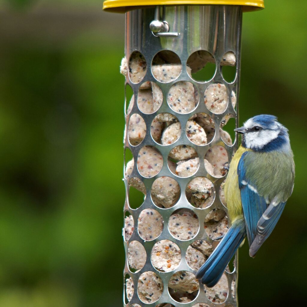 Peckish Extra Goodness Bird Food Nuggets 5060235447136 2