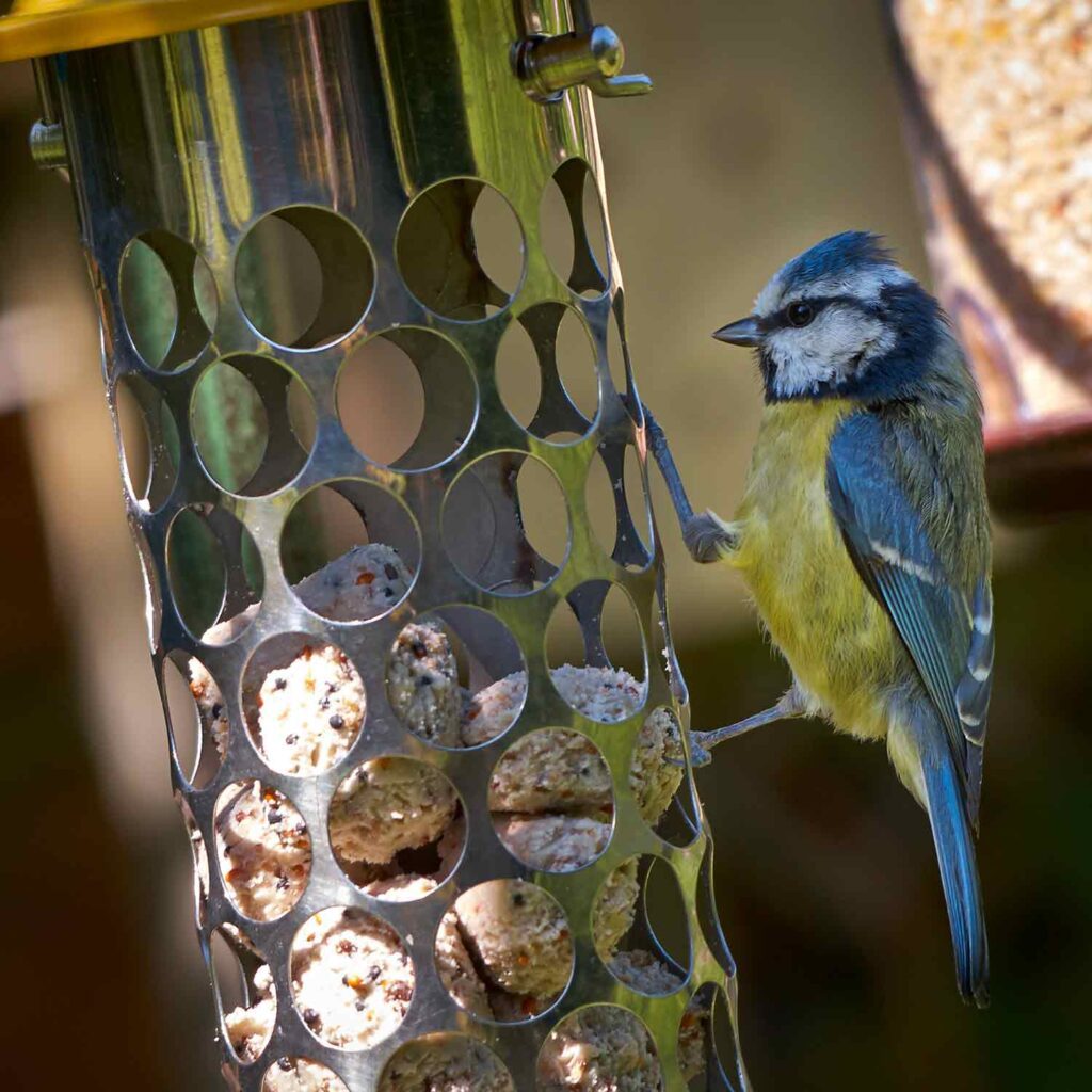Peckish Extra Goodness Nugget Bird Feeder 5060235443008 2